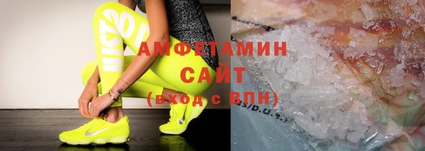 прущие грибы Бикин